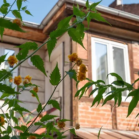 Apartment 5 Min To Citycenter - House & Garden - Netflix, Playstation & Wifi